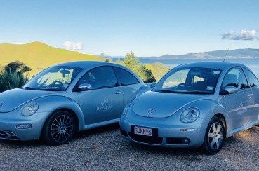 VW Beetle Car Hire | Waiheke.co.nz