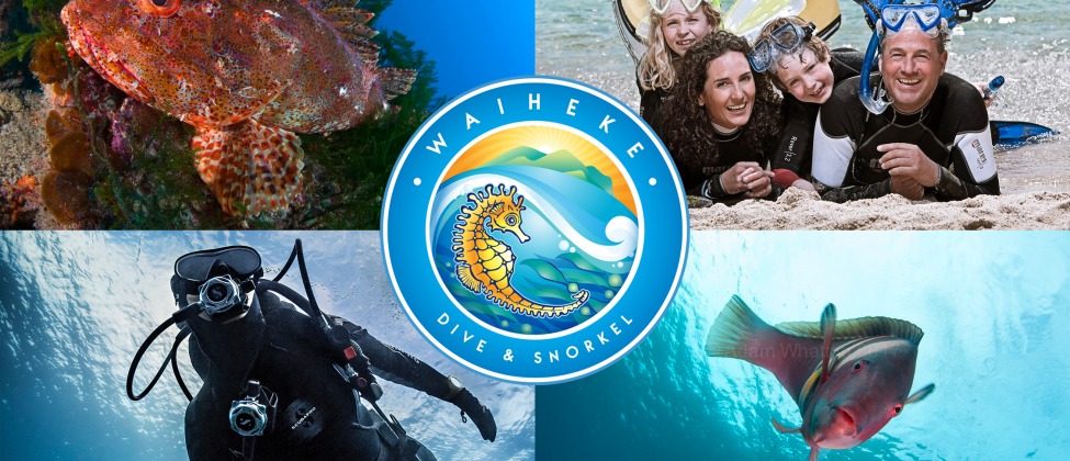 Waiheke Dive & Snorkel | Logo | Waiheke.co.nz