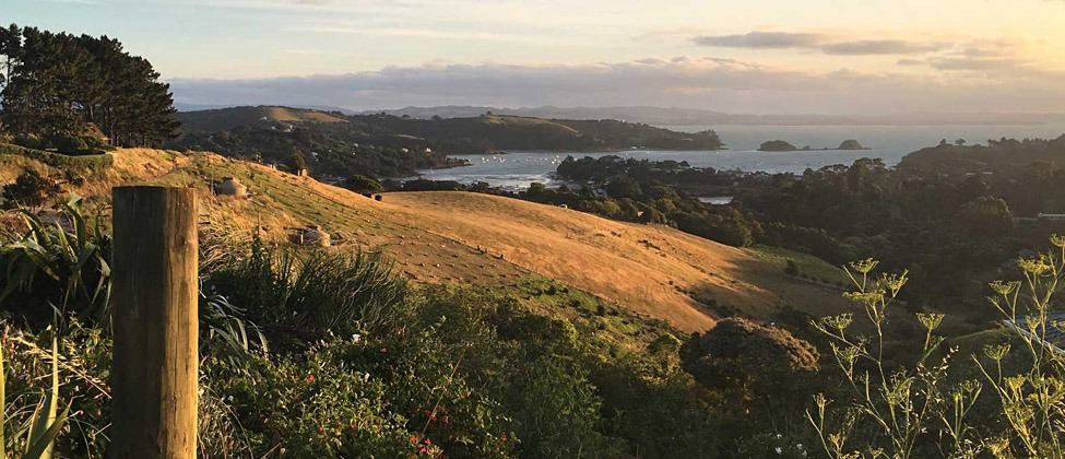 Terra & Tide | Logo | Waiheke.co.nz