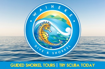 Waiheke Dive & Snorkel | Waiheke.co.nz