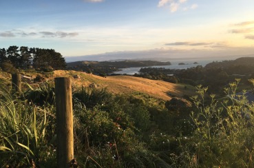 Terra & Tide | Waiheke.co.nz