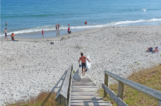 Visit Waiheke Island