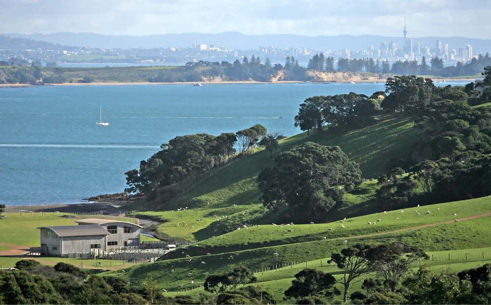 Visit Waiheke Island