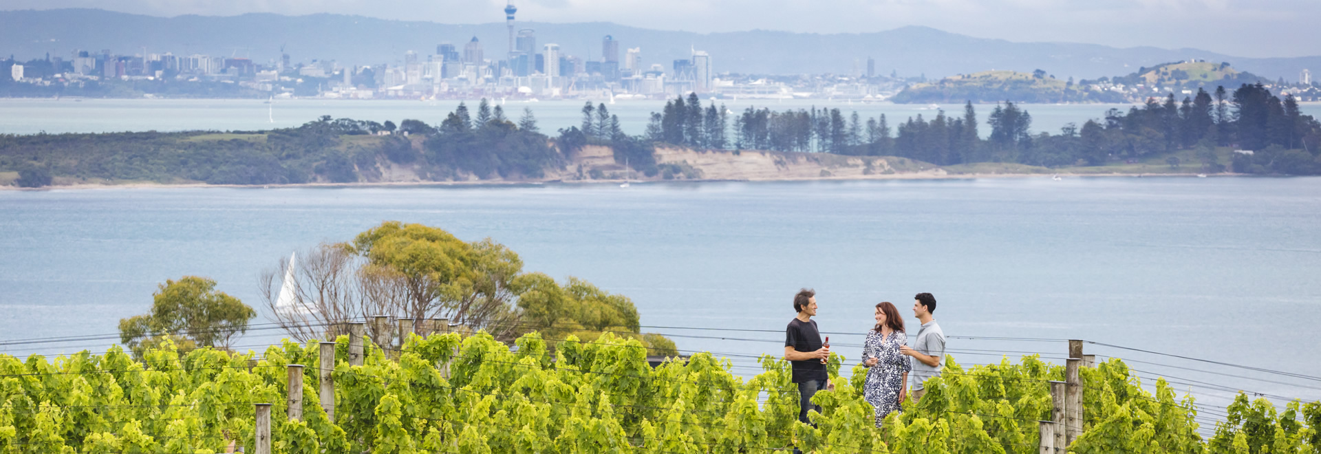 Visit Waiheke Island